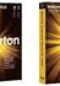 Norton Internet Security 2010