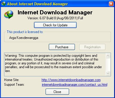 Internet Download Manager 6.07 Build 8