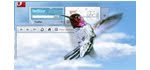 Opera 11.60