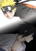 Gekijouban Naruto Shippuuden 2