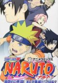 Naruto OVA 2