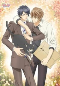 Yokozawa Takafumi no Baai